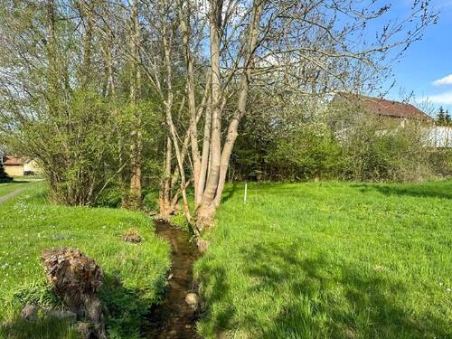 Garten auf West (1) - 