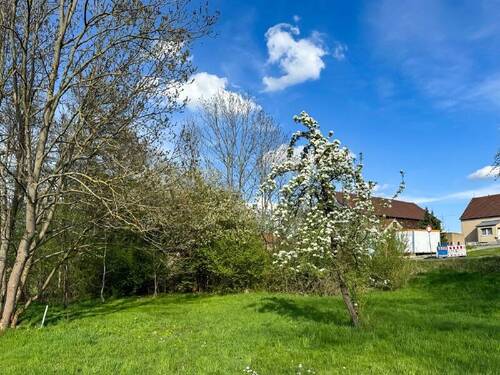 Garten auf West (2) - 