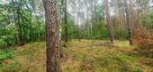 Wald - 