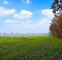 Grünland im Nordenholzermoor! - 42.500,00 EUR Kaufpreis, ca.  0,00 m² in Hude (PLZ: 27798)