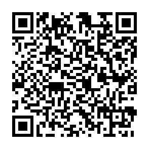 QR-Code - 