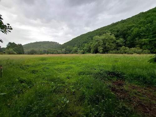 20250607_125310(0).jpg - Bauernhaus mit zusätzlichen Bauplätzen und optionaler Pachtweide in ruhiger Dorflage!