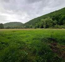 Bauernhaus mit zusätzlichen Bauplätzen und optionaler Pachtweide in ruhiger Dorflage! - Montabaur Eschelbach
