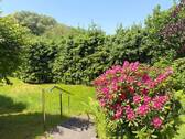 Ringsum viel Grün und Platz - 
