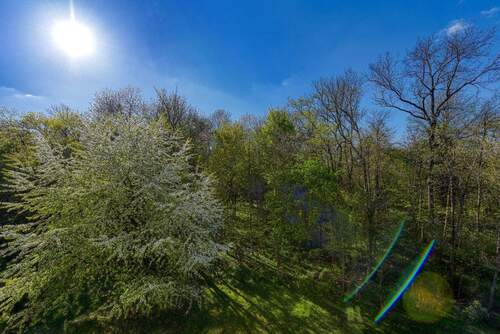 Blick nach Westen - Etagenwohnung mit 67,00 m&sup2; in Stuttgart zum Kaufen