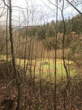 8faa9475-8ab8-408e-a6be-87f72a1684d4.JPG - 