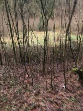 3861f804-d2fd-432f-99df-3c139bfe0a34.JPG - 