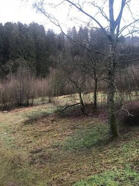 88923c16-f0dd-4510-aab6-e6a80ded299a.JPG - 