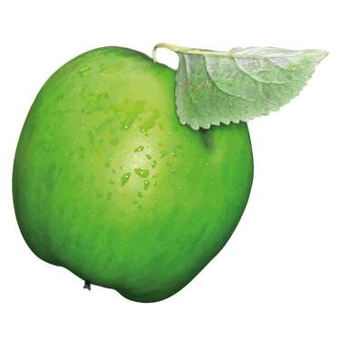 170705_immobilien_und_handwerk_logo_APFEL_v01-01.jpg - Bürofläche mit Renovierungspotenzial in Bayreuths Laineck