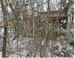 Gebäude.PNG - Grundstück zum Kaufen in Chemnitz