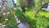 Umgebung - 
