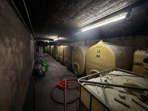 tempImageOI4xaF.jpg - 