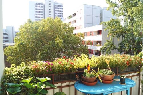 Balkon - 