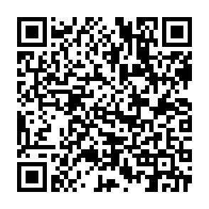 QR-Code - 