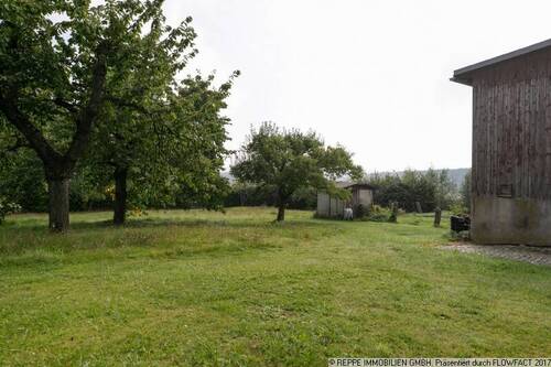 Blick auf das Wiesengrundstück - 