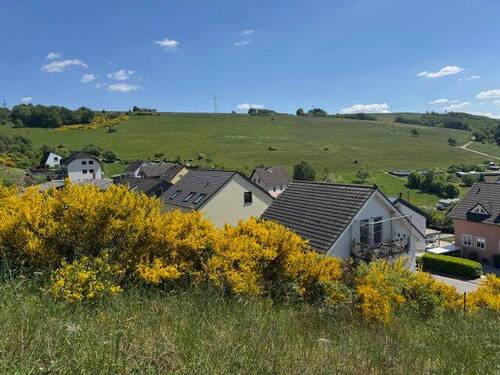 Ausblick - 