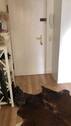 Flurbereich - Etagenwohnung mit 51,20 m² in Winsen (Luhe) zur Miete