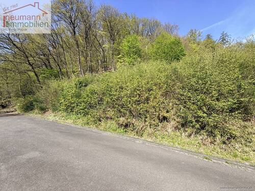 Grundstück - Grundstück zum Kaufen in Reuschenbach