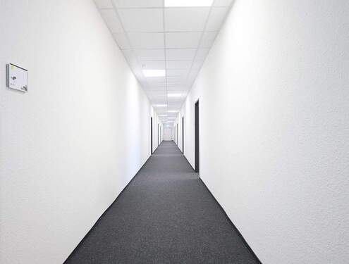 Flur - Büro mit 19,00 m&sup2; in Hamburg zur Miete