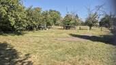 Blick ins Grundstück - Attraktives Grundstück - 27.000,00 EUR Kaufpreis, ca.  0,00 m²