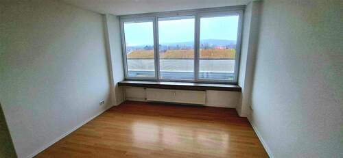 ... mit viel Licht - 