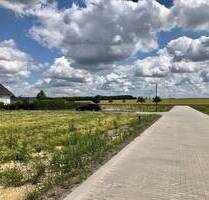 Großzügige Baugrundstücke mit Blick über Wiesen und Felder - Geithain