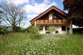Gartenansicht - 6 Zimmer Mehrfamilienhaus, Wohnhaus zum Kaufen in Offenburg