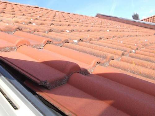 Blick auf´s Dach - 