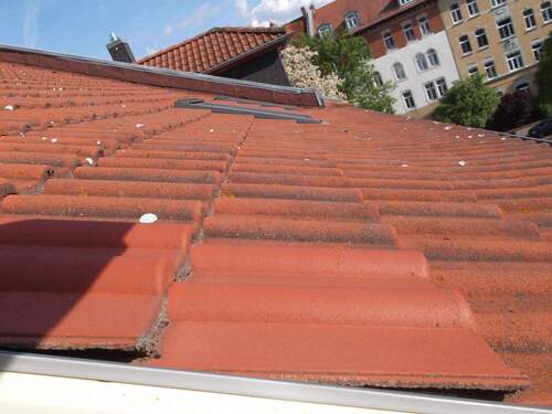 Blick auf´s Dach - 
