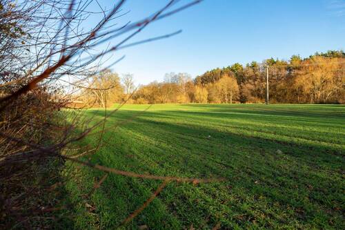 36_Umgebung_Am Sailersberg_Roethenbach ad Pegnitz_ - 