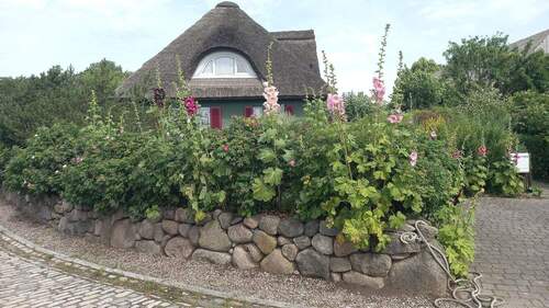 Blick vom Stellplatz.jpg - 