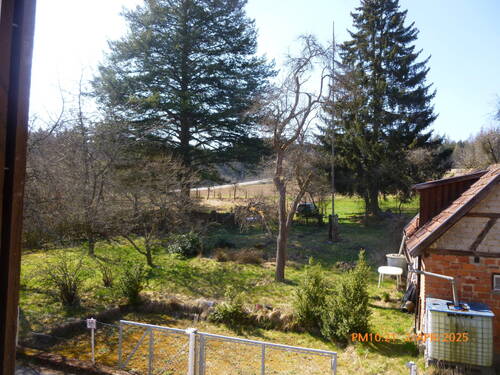 Teilweise alter Baumbestand - 