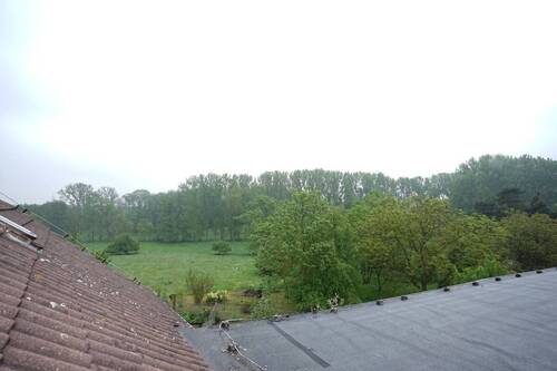 Blick von den Scheunendächern auf den Wald - 