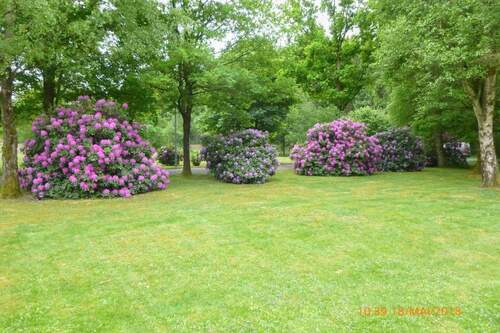 Sommeraufnahme_Parkähnlich - 