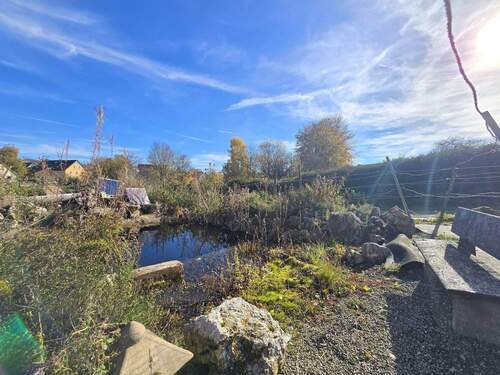 Teich Pferdehof Schlatter Immobilien - 