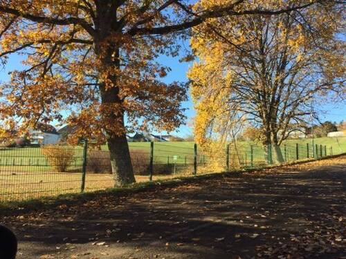Bild 21 - 