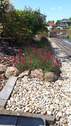 Garten am Wasser - 