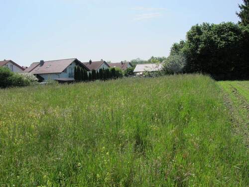 Grundstück - schönes großzügiges Baugrundstück in ruhiger Ortsrandlage