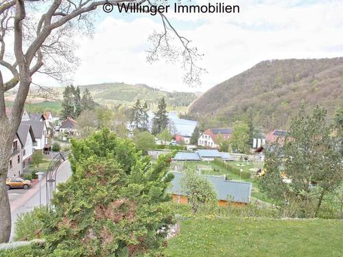 . Blick auf den See - 