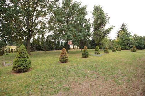 großzügiger Garten - 