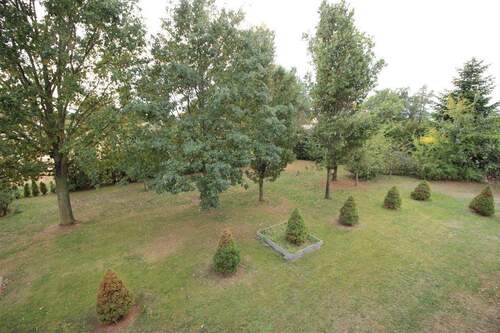 Blick in den Garten - 