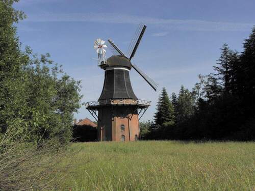 Blick auf die Mühle - 