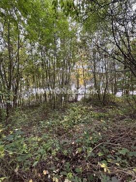 Grundstück Bewachsen - 