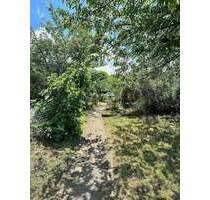 KINHEIM - KINDEL !!! Großes Baugrundstück mit Sanierungsobjekt !!!