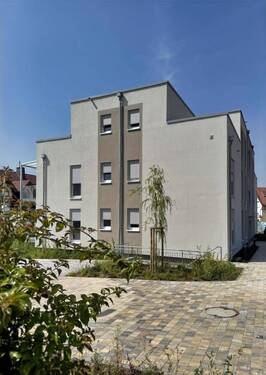 Bereits im ersten Sommer wunderbar grün!! - 