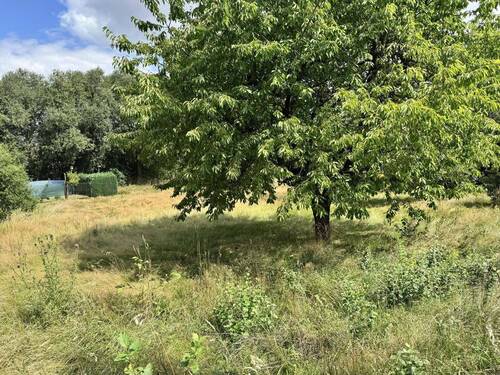 Ansicht Grundstück B.2 - 