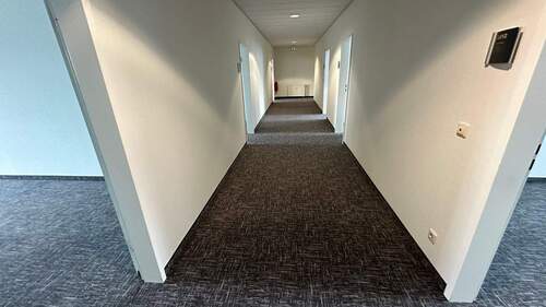 IMG_1554 - 
