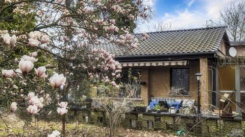 Magnolienblüte im Vorgarten - 3 Zimmer Einfamilienhaus in Berlin