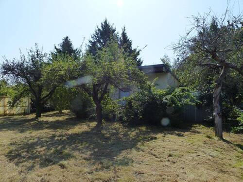 Blick zum Gartenhaus - 1 Zimmer Mehrfamilienhaus, Wohnhaus zum Kaufen in Oschatz