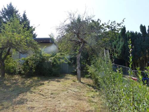 Blick zum Gartenhaus - 1 Zimmer Mehrfamilienhaus, Wohnhaus in Oschatz
